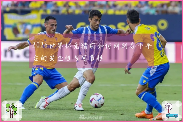 2026世界杯竞猜前如何辨别各个平台的安全性与可靠性