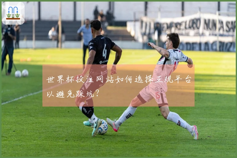 世界杯投注网站如何选择正规平台以避免踩坑？