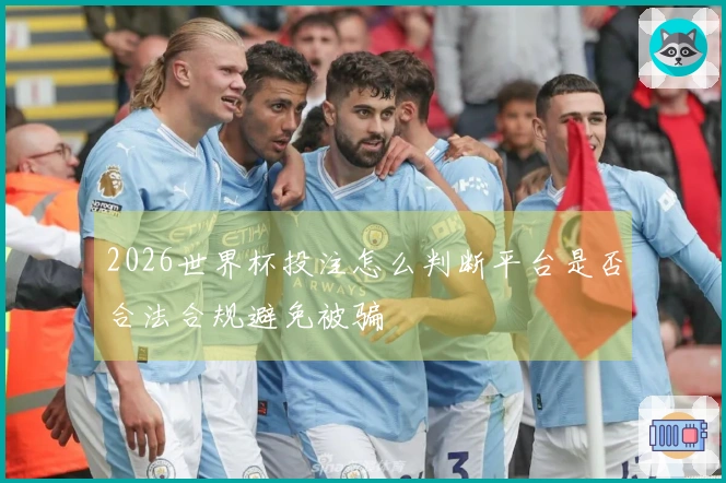 2026世界杯投注怎么判断平台是否合法合规避免被骗