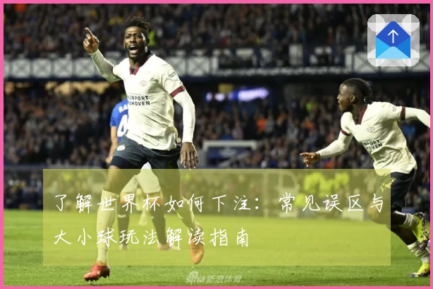 了解世界杯如何下注：常见误区与大小球玩法解读指南