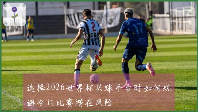 选择2026世界杯买球平台时如何规避冷门比赛潜在风险