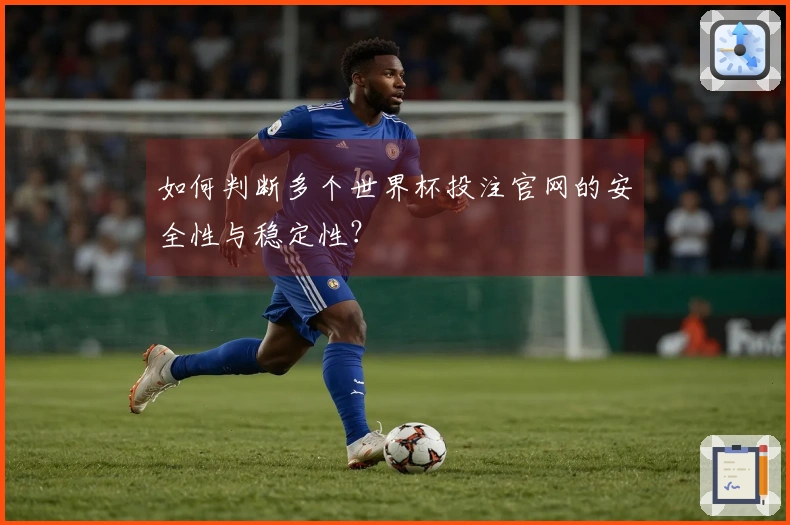 如何判断多个世界杯投注官网的安全性与稳定性？