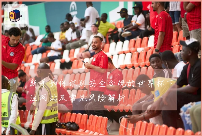 新手如何识别安全合规的世界杯下注网站及常见风险解析