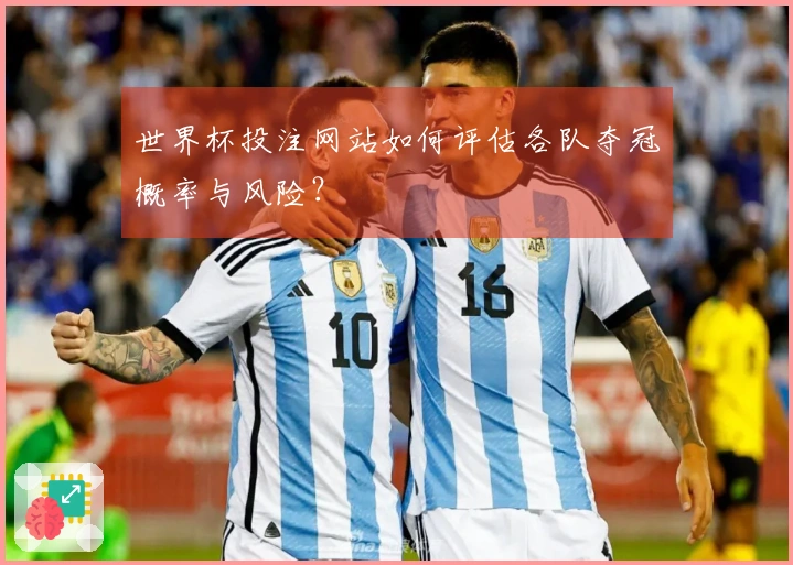 世界杯投注网站如何评估各队夺冠概率与风险？