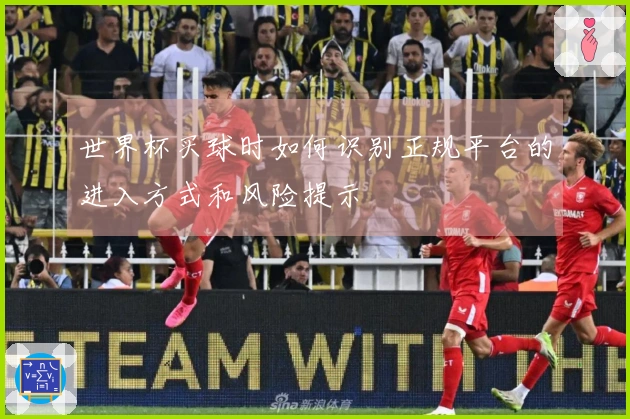 世界杯买球时如何识别正规平台的进入方式和风险提示