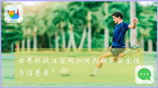 世界杯投注官网如何判断其安全性与信誉度？