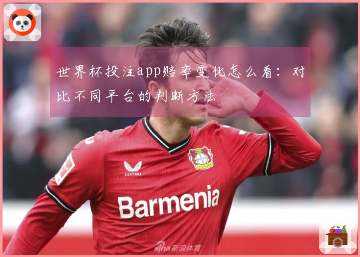 世界杯投注app赔率变化怎么看：对比不同平台的判断方法