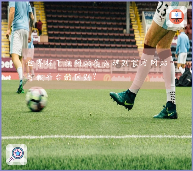 世界杯下注网站怎么辨别官方网站与假平台的区别？
