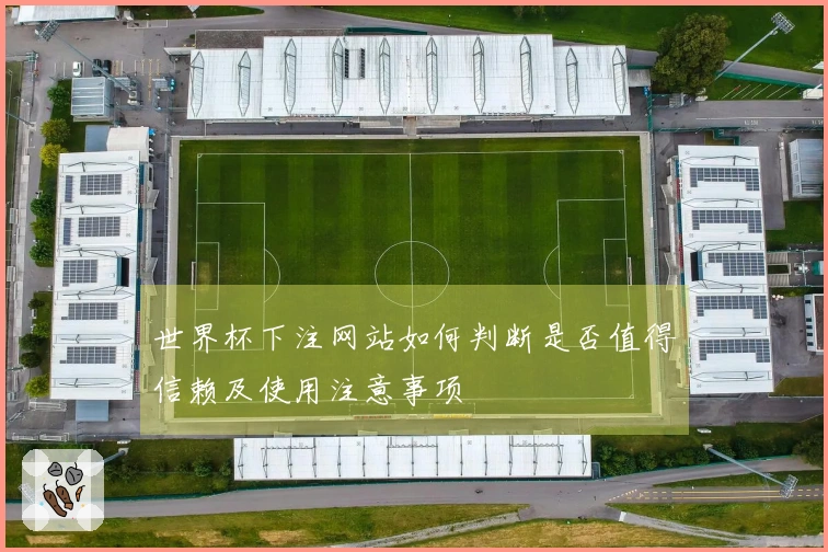 世界杯下注网站如何判断是否值得信赖及使用注意事项