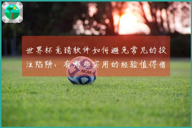 世界杯竞猜软件如何避免常见的投注陷阱，有哪些实用的经验值得借鉴