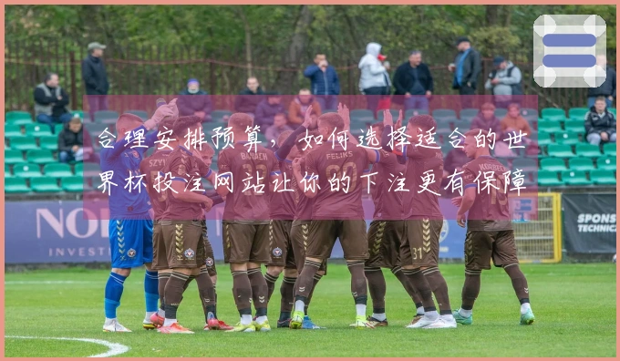 合理安排预算，如何选择适合的世界杯投注网站让你的下注更有保障