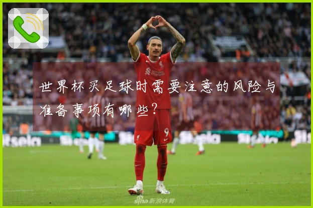 世界杯买足球时需要注意的风险与准备事项有哪些？