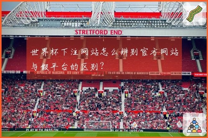 世界杯下注网站怎么辨别官方网站与假平台的区别？