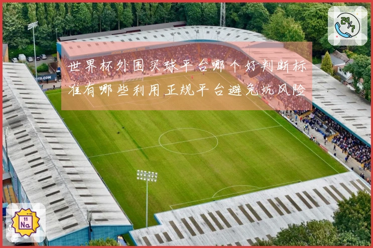 世界杯外围买球平台哪个好判断标准有哪些利用正规平台避免坑风险