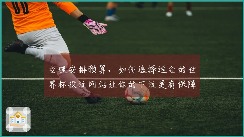 合理安排预算，如何选择适合的世界杯投注网站让你的下注更有保障