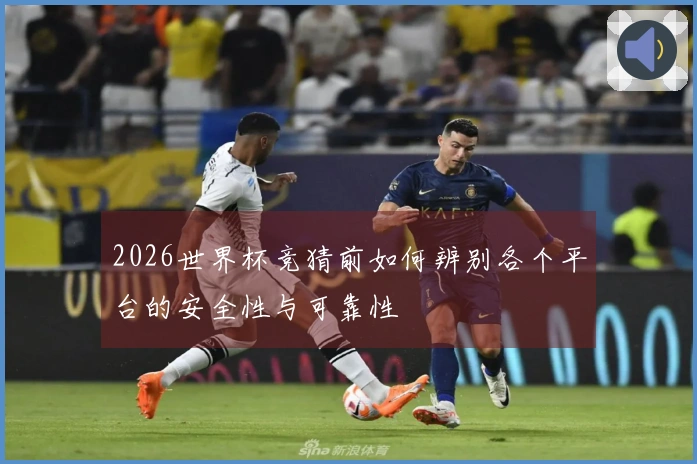 2026世界杯竞猜前如何辨别各个平台的安全性与可靠性