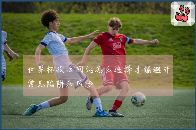 世界杯投注网站怎么选择才能避开常见陷阱和风险