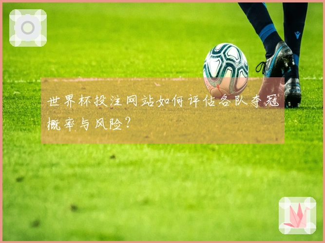 世界杯投注网站如何评估各队夺冠概率与风险？