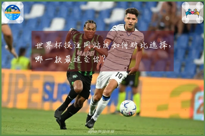 世界杯投注网站该如何对比选择，哪一款最适合你？