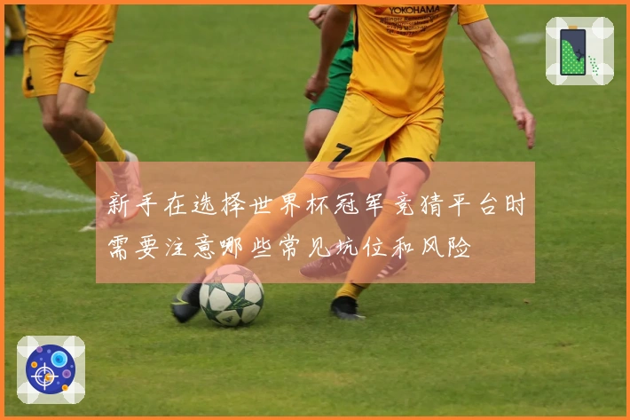新手在选择世界杯冠军竞猜平台时需要注意哪些常见坑位和风险