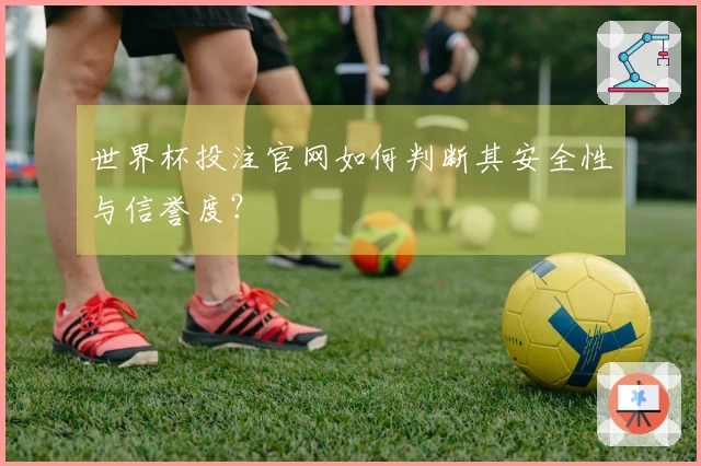 世界杯投注官网如何判断其安全性与信誉度？