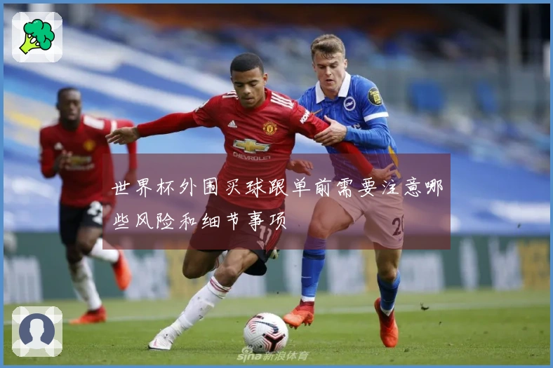 世界杯外围买球跟单前需要注意哪些风险和细节事项