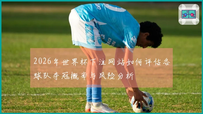 2026年世界杯下注网站如何评估各球队夺冠概率与风险分析