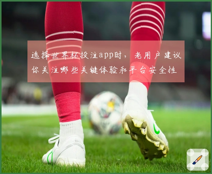 选择世界杯投注app时，老用户建议你关注哪些关键体验和平台安全性？