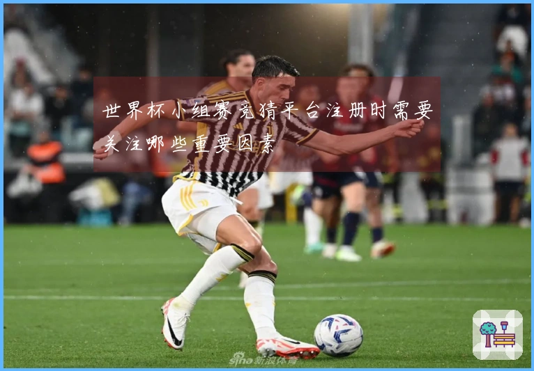 世界杯小组赛竞猜平台注册时需要关注哪些重要因素