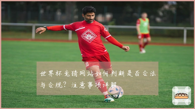 世界杯竞猜网站如何判断是否合法与合规？注意事项详解
