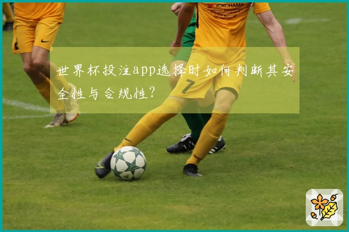 世界杯投注app选择时如何判断其安全性与合规性？