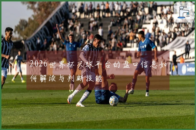 2026世界杯买球平台的盘口信息如何解读与判断技能
