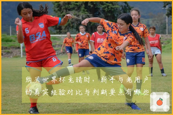 购买世界杯竞猜时，新手与老用户的真实经验对比与判断要点有哪些？