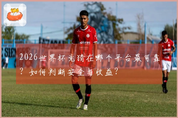 2026世界杯竞猜在哪个平台最可靠？如何判断安全与收益？