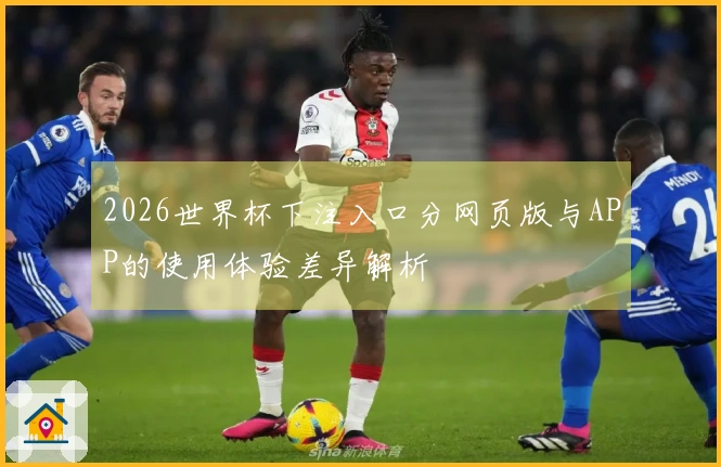2026世界杯下注入口分网页版与APP的使用体验差异解析